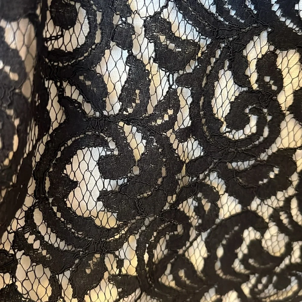 Tadashi Shoji lace cocktail dress - Picture 11 of 11